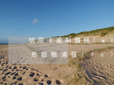 信用卡逾期債務(wù)優(yōu)化停息掛賬浦發(fā)(如何與浦發(fā)信用卡協(xié)商還款停息掛賬)