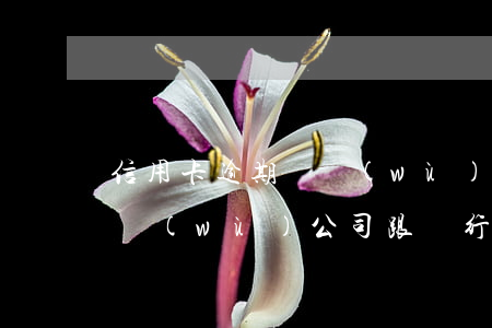 信用卡逾期債務(wù)委托分期-委托債務(wù)公司跟銀行解決信用卡逾期可靠嗎?