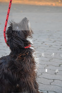 信用卡逾期償還了一部分-為什么還了信用卡,說我逾期了