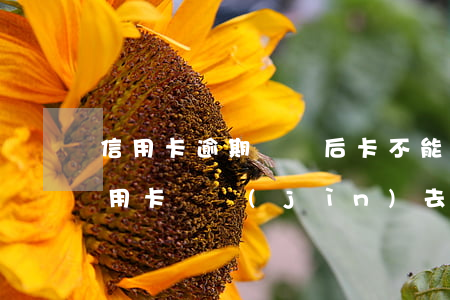 信用卡逾期償還后卡不能使用了嘛(逾期的信用卡還進(jìn)去還能刷出來(lái)嗎)