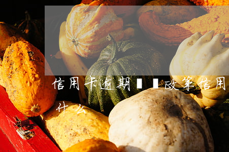 信用卡逾期償還政策 信用卡逾期償還政策是什么
