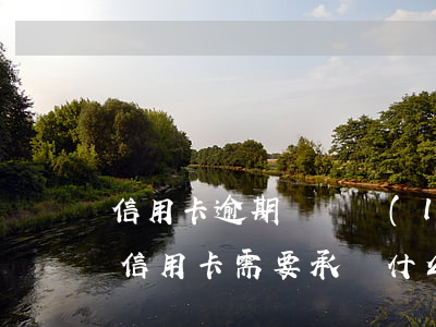 信用卡逾期償還聯(lián)系誰(逾期還信用卡需要承擔什么法律責任)