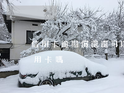 信用卡逾期償還還可以使用嗎(逾期還能用信用卡嗎)