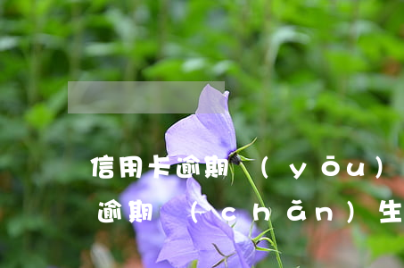 信用卡逾期優(yōu)先抵扣利息(信用卡逾期產(chǎn)生高額利息和滯納金可以拒絕)