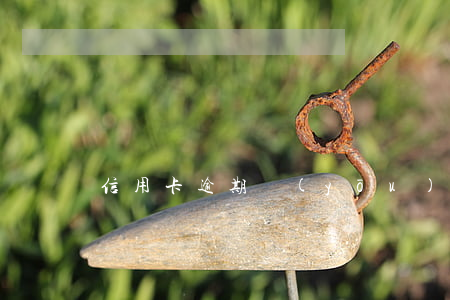 信用卡逾期優(yōu)先處理大額的嗎