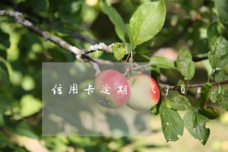 信用卡逾期優(yōu)化圖片