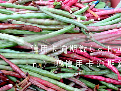 信用卡逾期儲(chǔ)蓄卡扣錢(qián)嗎(信用卡逾期銀行有權(quán)利扣儲(chǔ)蓄卡的錢(qián)嗎)