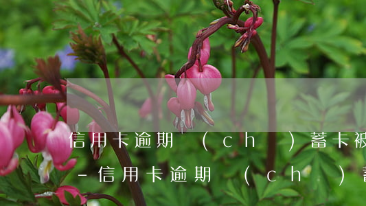 信用卡逾期儲(chǔ)蓄卡被凍如何解除-信用卡逾期儲(chǔ)蓄卡被凍如何解除凍結(jié)