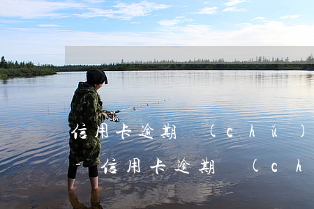 信用卡逾期儲(chǔ)蓄卡被鎖定怎么辦-信用卡逾期儲(chǔ)蓄卡被鎖定怎么辦理