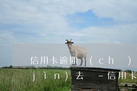 信用卡逾期儲(chǔ)蓄卡還能存錢進(jìn)去嗎-信用卡逾期儲(chǔ)蓄卡還能存錢進(jìn)去嗎安全嗎
