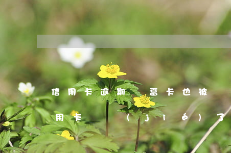 信用卡逾期儲蓄卡也被凍結(jié)(欠信用卡凍結(jié)了儲蓄卡)