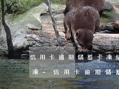 信用卡逾期儲蓄卡凍結(jié)了怎么解凍-信用卡逾期儲蓄卡凍結(jié)了怎么解凍呢