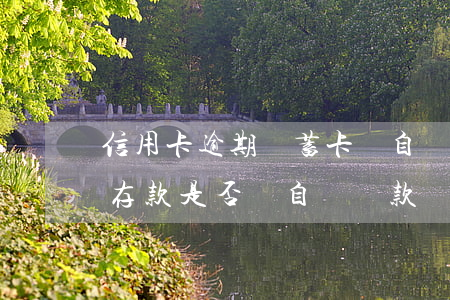 信用卡逾期儲蓄卡會自動還款嗎-往信用卡存款是否會自動還款