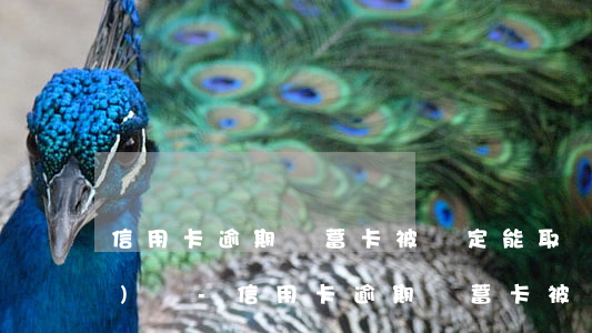 信用卡逾期儲蓄卡被鎖定能取現(xiàn)嗎-信用卡逾期儲蓄卡被鎖定能取現(xiàn)嗎安全嗎