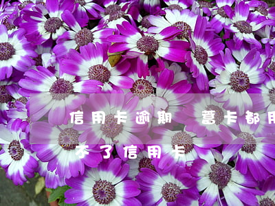 信用卡逾期儲蓄卡都用不了(有逾期是不是辦不了信用卡)