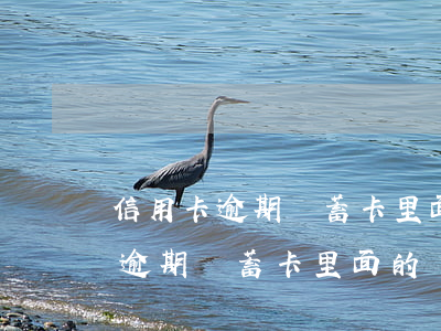 信用卡逾期儲蓄卡里面的錢會扣嗎-信用卡逾期儲蓄卡里面的錢會扣嗎安全嗎