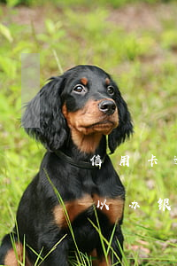 信用卡逾期允许开店吗知乎(欠信用卡逾期可以办银行卡吗)