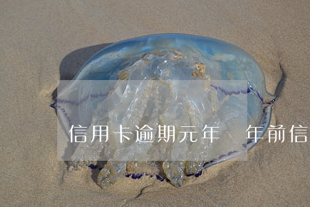 信用卡逾期元年(幾年前信用卡逾期)