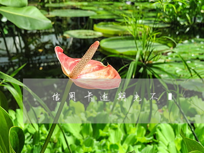 信用卡逾期先不還