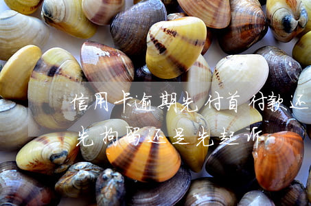 信用卡逾期先付首付款还是贷款(欠信用卡是先拘留还是先起诉)