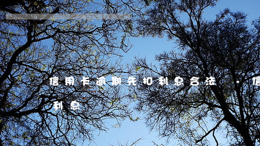 信用卡逾期先扣利息合法嗎-信用卡 違約金 利息