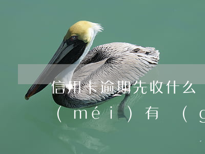 信用卡逾期先收什么費(fèi)(法律有沒(méi)有規(guī)定信用卡逾期收費(fèi)多少)