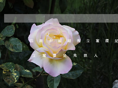 信用卡逾期先立案還是先抓人（信用卡逾期先立案還是先抓人）