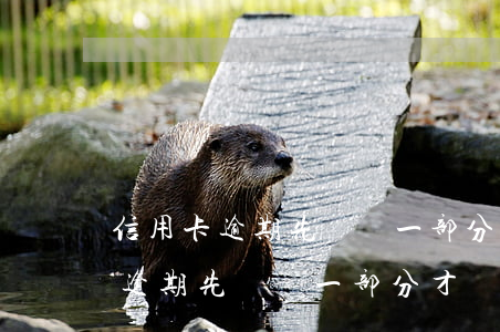 信用卡逾期先讓還一部分才給分期-信用卡逾期先讓還一部分才給分期嗎