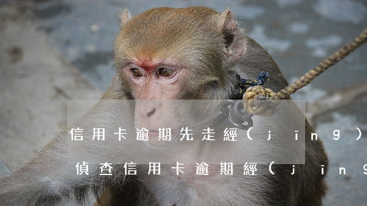 信用卡逾期先走經(jīng)濟(jì)偵查(信用卡逾期經(jīng)偵大隊(duì)會(huì)立案嗎)