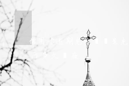信用卡逾期先起訴還是先立案(欠信用卡立案后多久開庭)