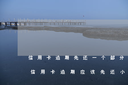 信用卡逾期先还一个部分还可以吗-有多张信用卡逾期,应该先还小额还是大额