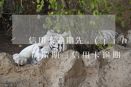 信用卡逾期先進(jìn)看守所嗎(被刑事拘留期間信用卡逾期)