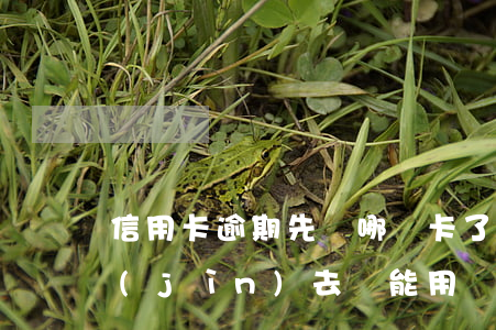 信用卡逾期先還哪張卡了(逾期的信用卡還進(jìn)去還能用嗎)
