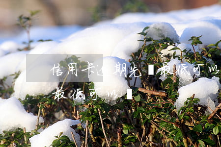 信用卡逾期先還最低可以嗎(信用卡逾期先還最低可以嗎)