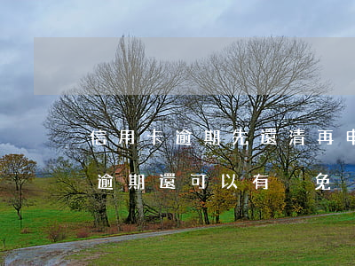 信用卡逾期先還清再申請減免(為什么信用卡逾期還可以有減免)