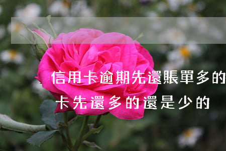 信用卡逾期先還賬單多的還是少的-欠信用卡先還多的還是少的