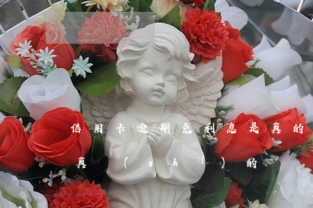 信用卡逾期免利息是真的嗎(欠信用卡減免是真實(shí)的嗎)