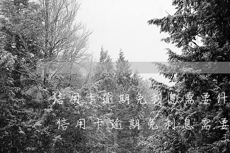 信用卡逾期免利息需要什么手續(xù)-信用卡逾期免利息需要什么手續(xù)和證件