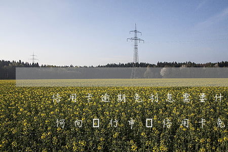 信用卡逾期免利息需要什么手續(xù) 如何向銀行申請信用卡免罰息