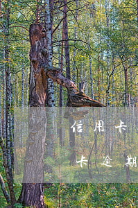 信用卡逾期免息協(xié)議(因服刑信用卡逾期可否免息)