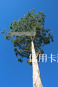 信用卡逾期免息寫代還