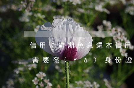 信用卡逾期免息還本 信用卡逾期免息還本金需要發(fā)身份證到郵箱