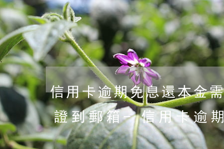 信用卡逾期免息還本金需要發(fā)身份證到郵箱-信用卡逾期免息還本金需要發(fā)身份證到郵箱嗎