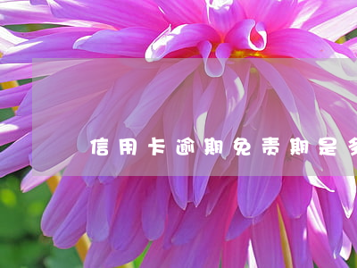 信用卡逾期免责期是多久(信用卡逾期追责)