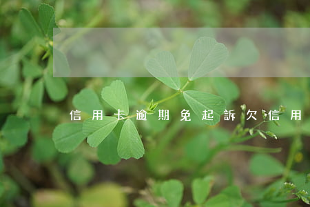 信用卡逾期免起訴(欠信用卡逾期被起訴)