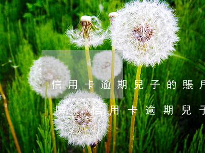 信用卡逾期兒子的賬戶會被凍結(jié)嗎-信用卡逾期兒子的賬戶會被凍結(jié)嗎怎么辦