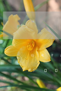 信用卡逾期入獄(進(jìn)監(jiān)獄導(dǎo)致信用卡逾期)