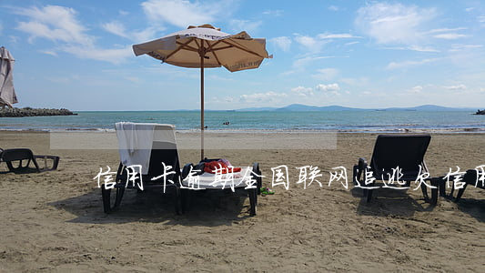 信用卡逾期全国联网追逃(欠信用卡挂网追逃)