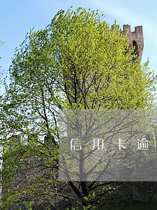 信用卡逾期全是小額 信用卡逾期全是小額