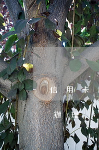 信用卡逾期全款怎么辦(信用卡逾期全款怎么辦理)